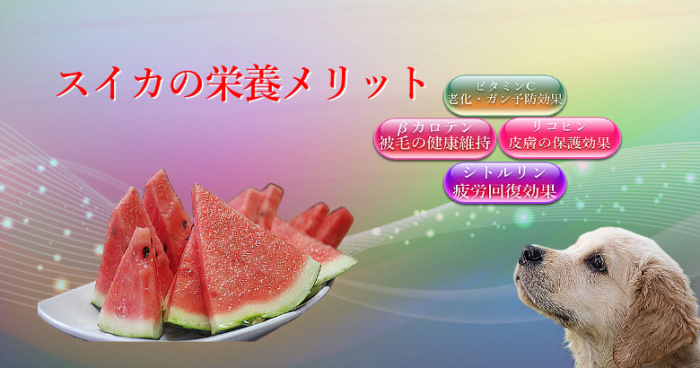 スイカの栄養メリット