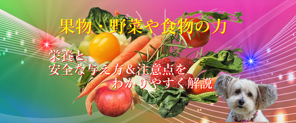 果物・野菜・食物の能力！栄養と与え方＆注意点を解説