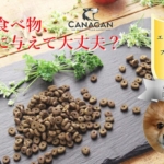 シナモンの能力が愛犬の医療費に繋がる危険性を徹底解説！