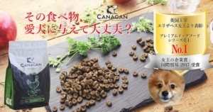 その食べ物、愛犬に与えて大丈夫？