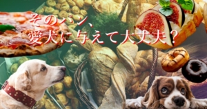 そのパン、愛犬に与えて大丈夫？