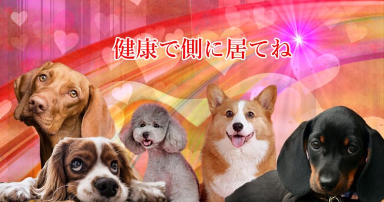 Stay healthy and stay by my side