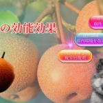 和梨・洋梨の能力が愛犬の医療費削減にも繋がる効能効果を徹底解説 和梨・洋梨の能力が愛犬の医療費削減にも繋がる効能効果を徹底解説