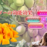 マンゴーの能力が愛犬の医療費削減にもつながる効能効果を徹底解説
