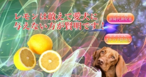 レモンは敢えて愛犬に与えない方が賢明です