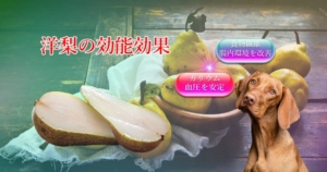洋梨の効能効果