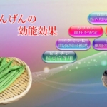 さやいんげんの能力が愛犬の医療費削減にも繋がる効能効果を徹底解説 さやいんげんの能力が愛犬の医療費削減にも繋がる効能効果を徹底解説