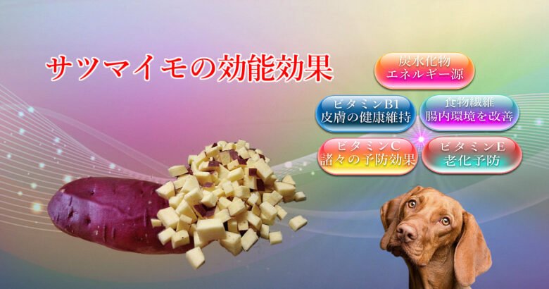 サツマイモの効能効果