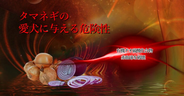 タマネギの愛犬に与える危険性