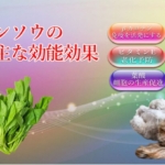 ホウレンソウの能力が医療費削減にも繋がる効能効果を徹底解説！