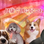 シナモンの能力が愛犬の医療費に繋がる危険性を徹底解説！