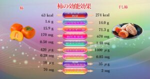 柿の効能効果