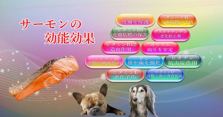 サーモンの効能効果