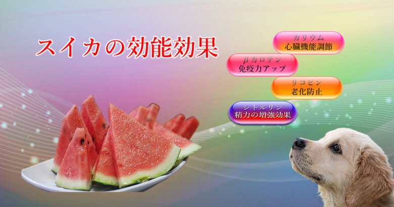 スイカの効能効果