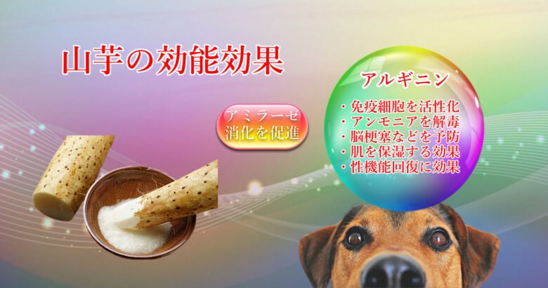 山芋の効能効果