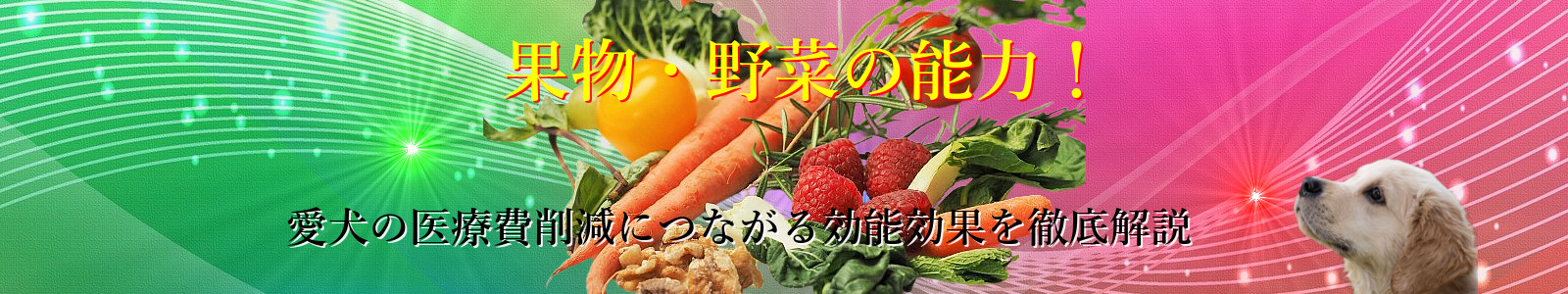 果物・野菜の能力！