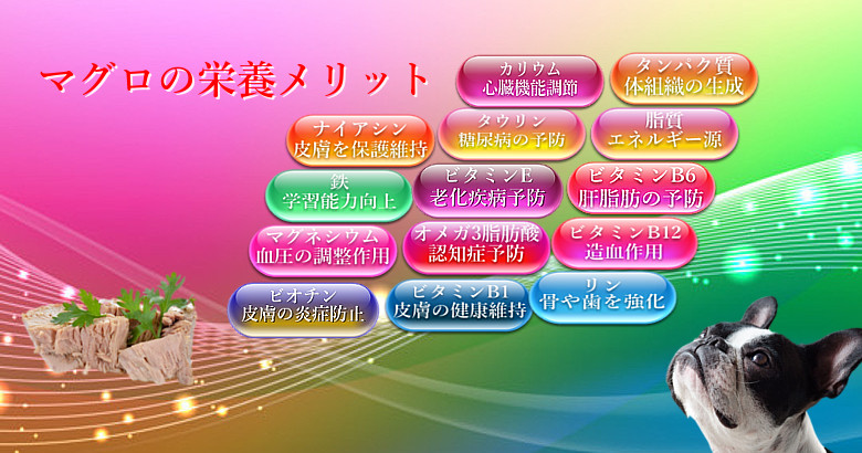 マグロの栄養メリット