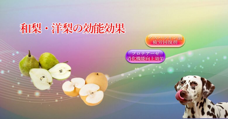 Benefits of Japanese pears and pears