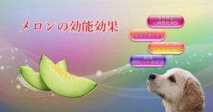 Benefits of melon