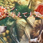 卵の能力が愛犬の医療費削減にも繋がる効能効果を徹底解説！