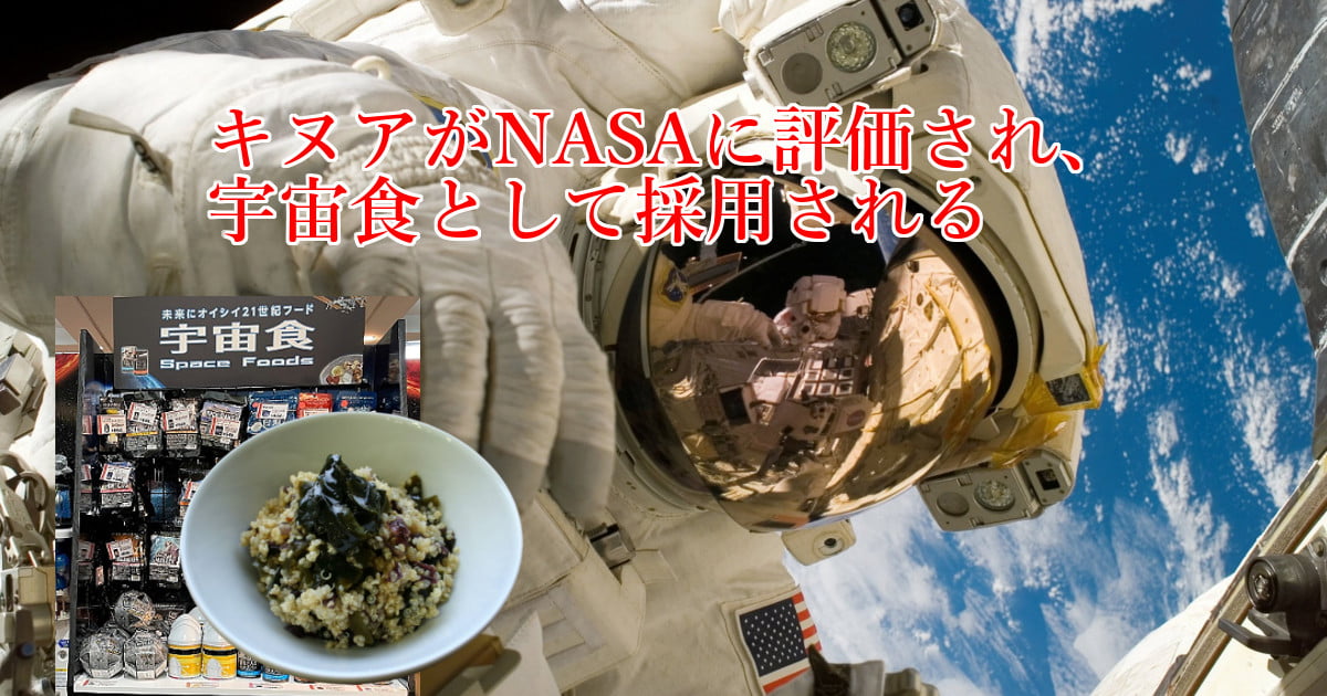 Quinoa is evaluated by NASA and adopted as space food