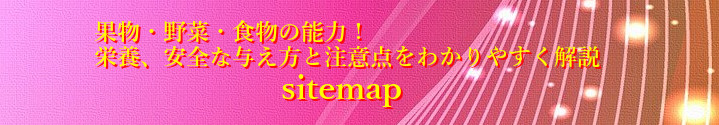sitemap画像