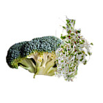 broccoli & sprouts