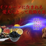 dangerous dried fruit