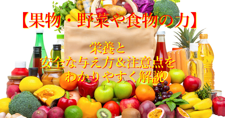 【果物・野菜や食物の力】